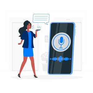 voice search