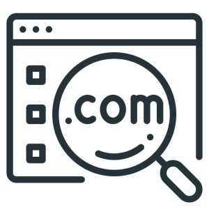 Domain Name
